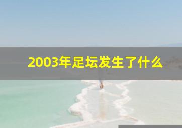 2003年足坛发生了什么