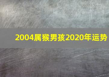 2004属猴男孩2020年运势