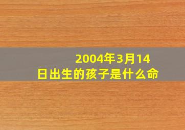 2004年3月14日出生的孩子是什么命