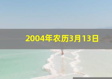 2004年农历3月13日