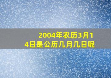 2004年农历3月14日是公历几月几日呢