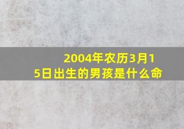 2004年农历3月15日出生的男孩是什么命