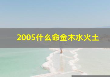 2005什么命金木水火土