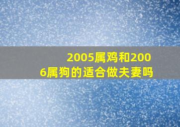 2005属鸡和2006属狗的适合做夫妻吗