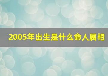 2005年出生是什么命人属相