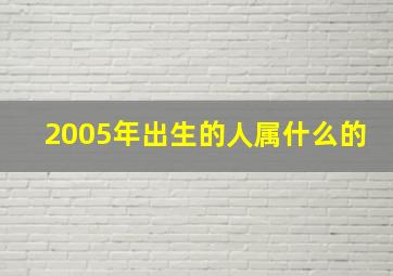 2005年出生的人属什么的