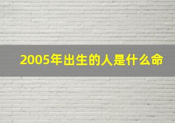 2005年出生的人是什么命