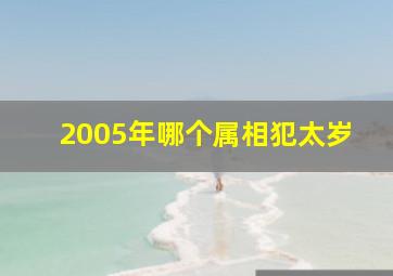 2005年哪个属相犯太岁