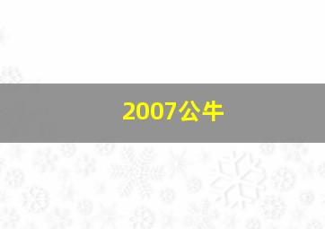 2007公牛