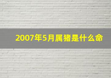 2007年5月属猪是什么命