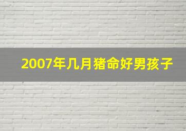 2007年几月猪命好男孩子