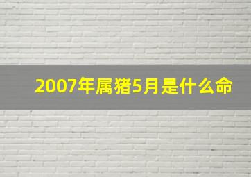 2007年属猪5月是什么命