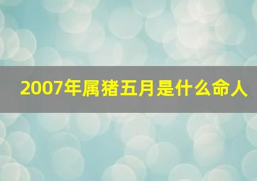 2007年属猪五月是什么命人