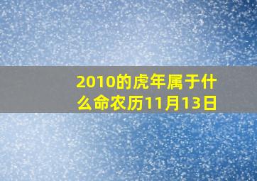 2010的虎年属于什么命农历11月13日