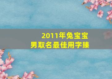 2011年兔宝宝男取名最佳用字臻