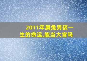 2011年属兔男孩一生的命运,能当大官吗