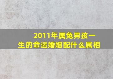 2011年属兔男孩一生的命运婚姻配什么属相