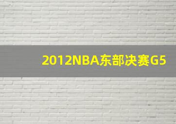 2012NBA东部决赛G5