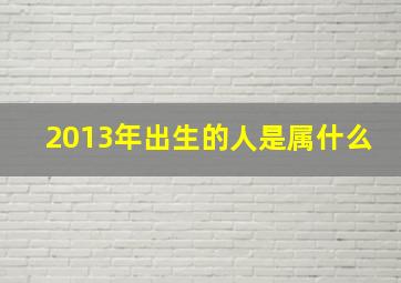 2013年出生的人是属什么