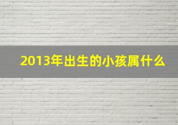 2013年出生的小孩属什么