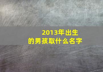 2013年出生的男孩取什么名字