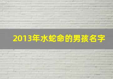 2013年水蛇命的男孩名字