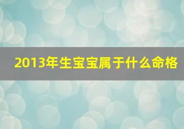 2013年生宝宝属于什么命格