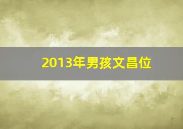 2013年男孩文昌位