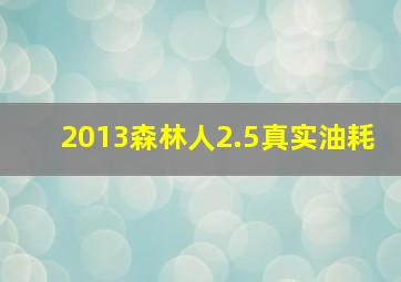 2013森林人2.5真实油耗