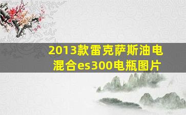 2013款雷克萨斯油电混合es300电瓶图片