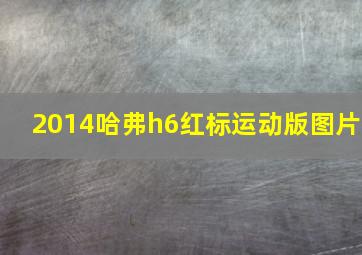 2014哈弗h6红标运动版图片