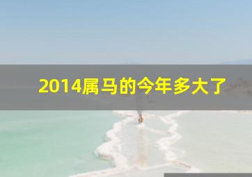 2014属马的今年多大了