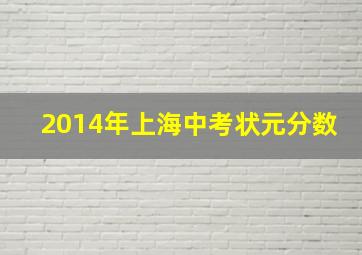 2014年上海中考状元分数