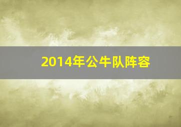 2014年公牛队阵容