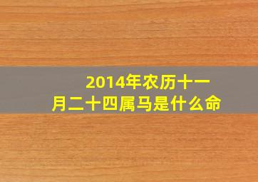 2014年农历十一月二十四属马是什么命