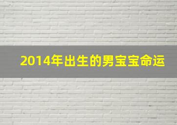 2014年出生的男宝宝命运