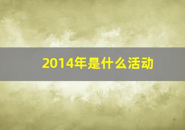 2014年是什么活动