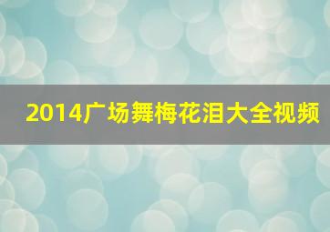 2014广场舞梅花泪大全视频