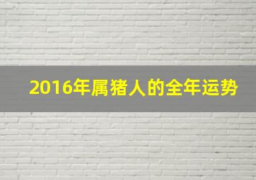 2016年属猪人的全年运势