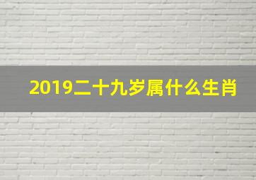 2019二十九岁属什么生肖