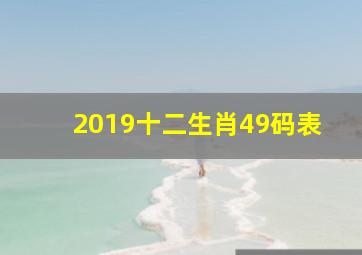 2019十二生肖49码表