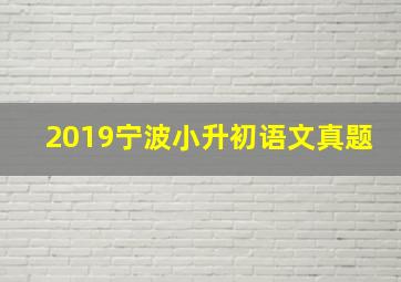 2019宁波小升初语文真题