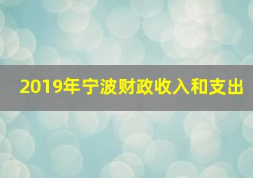 2019年宁波财政收入和支出