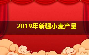 2019年新疆小麦产量