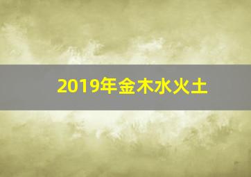 2019年金木水火土