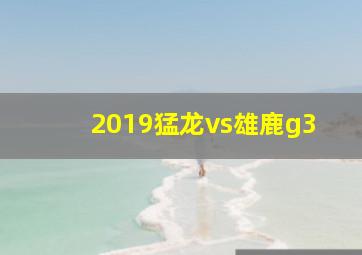 2019猛龙vs雄鹿g3