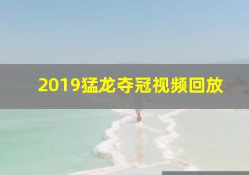 2019猛龙夺冠视频回放