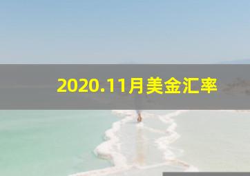 2020.11月美金汇率