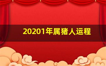 20201年属猪人运程