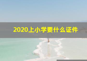 2020上小学要什么证件